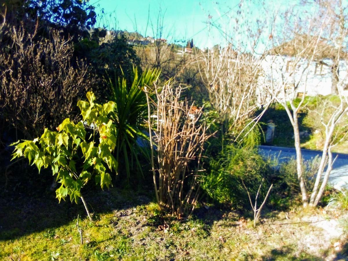 Casa Vale Do Rio Ovil Bed & Breakfast Baiao Bagian luar foto
